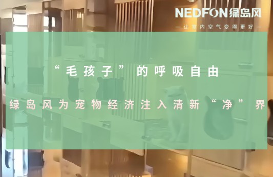 “毛孩子”的呼吸自由：绿岛风为宠物经济注入清新“净”界